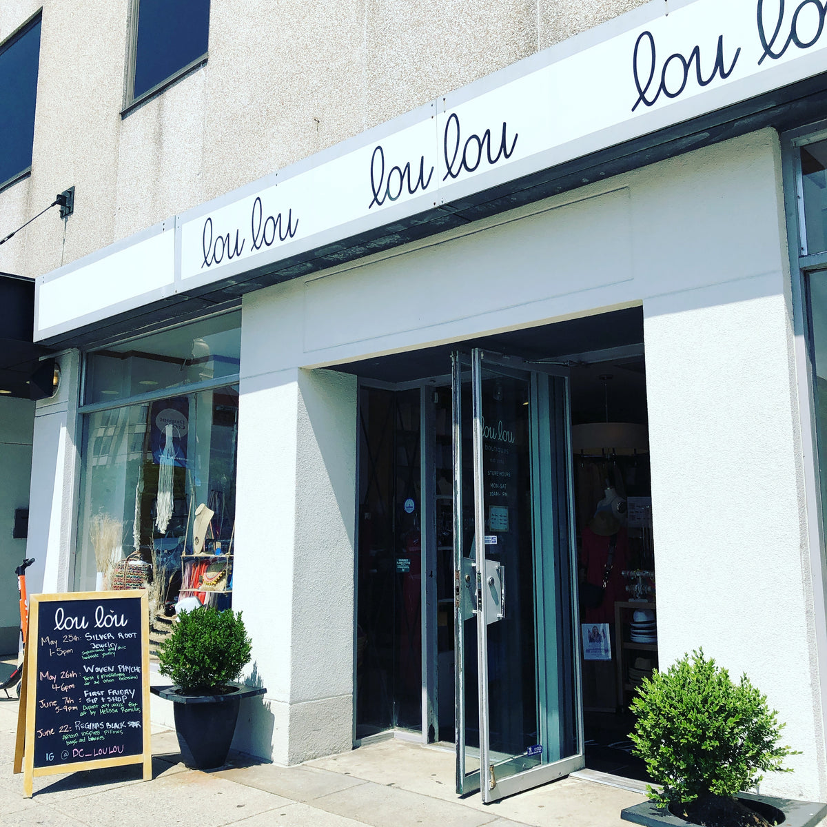 Lou Lou Boutiques x The Silver Root (Dupont Circle, Washington DC)